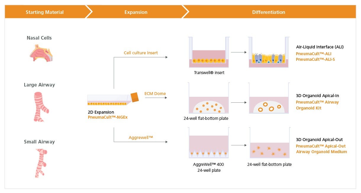 Overview of the PneumaCult™-NGEx Culture System.