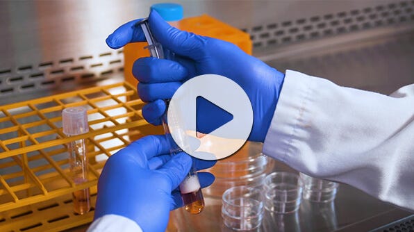 Watch our instructional video for step-by-step guidelines for setting up the CFU assay using methylcellulose-based MethoCult™ medium.