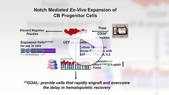 Suzan Imren describes the roles of notch, small molecule UM171, and HOX transcription factors in the in vitro expansion of human HSPCs.