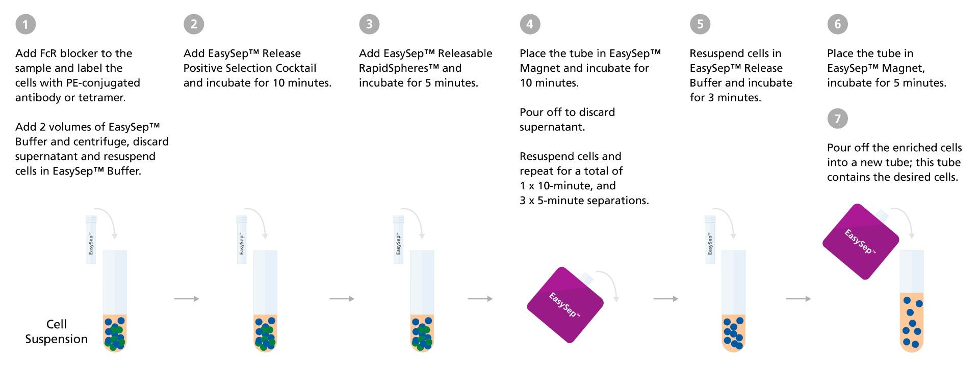 EasySep™ Release Human Positive Selection Kit protocol diagram