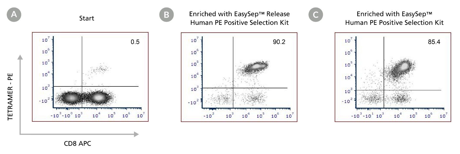 Enrichment of tetramer-labeled CD8+ T Cells using EasySep™ Human PE Positive Selection Kits
