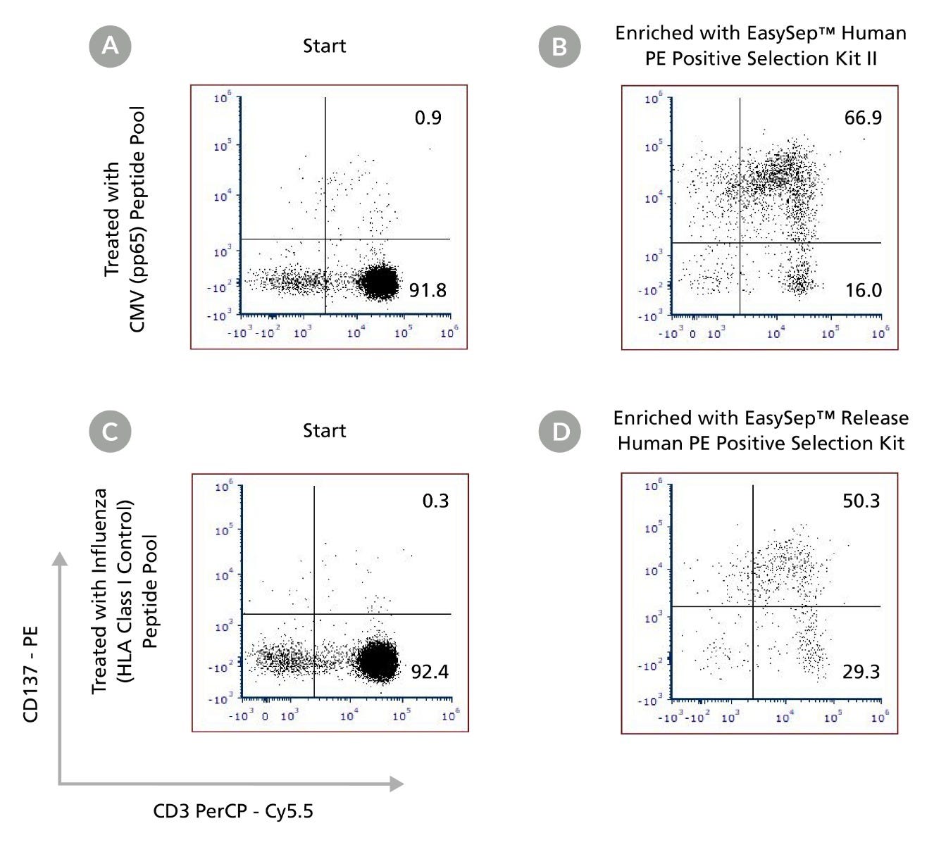 Enrichment of CD137+ T cells activated by viral peptide pools using EasySep™ Human PE Positive Selection Kits