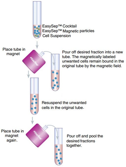 November’s Technical Tip: Improving Cell Recovery with EasySep™ Negative Selection Kits