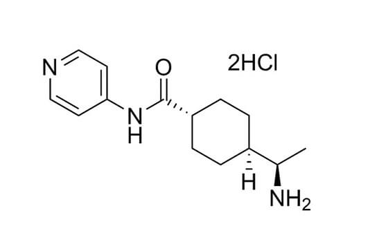 Y-27632 (Dihydrochloride) RHO/ROCK pathway inhibitor; Inhibits ROCK1 and ROCK2