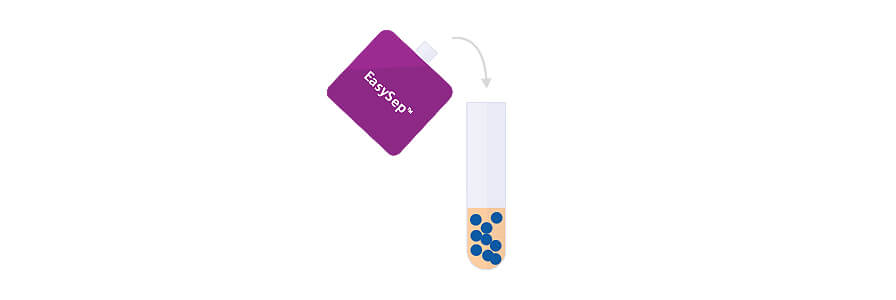 How to Isolate Cells with EasySep™ Column-Free Cell Separation Technology