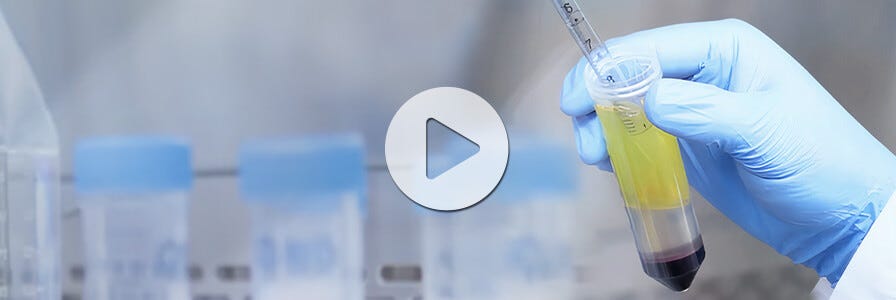 Isolating PBMCs using density gradient centrifugation video image