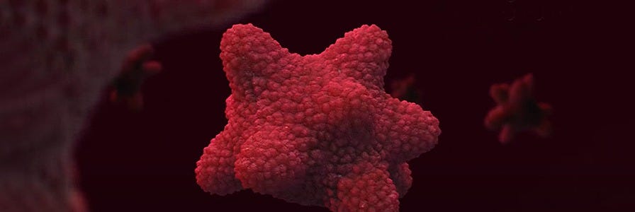 Learn the basics of culturing human intestinal organoids and applying them to your research