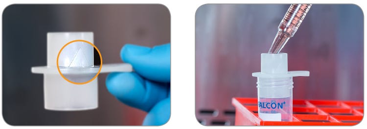 Collect the hPSC aggregates using a conical tube and reversible strainer, with the arrow pointing upwards.