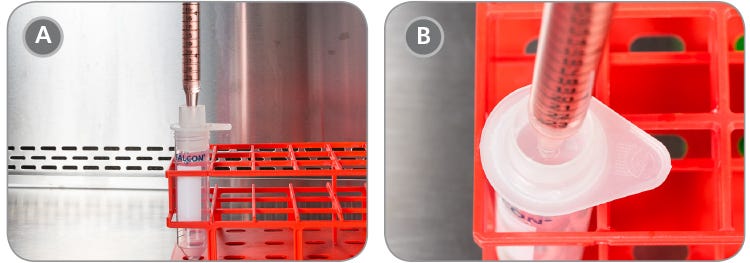 Placement of the serological pipette containing pre-treated aggregates.