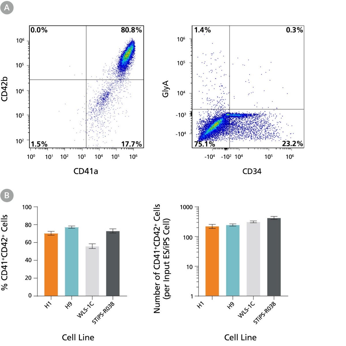 Data showing that hPSC-derived HPCs efficiently expand and differentiate to CD41a+CD42b+ megakaryocytes during an additional 5 days of culture
