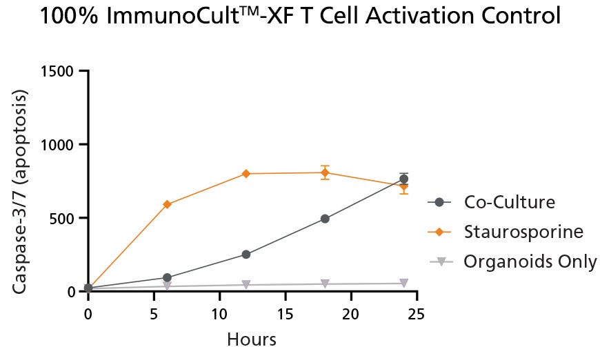 Graphic image of results of Caspase-3/7 apoptotic signals in control conditions for organoid and T cell co-culture.