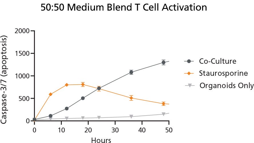 Graphic image of results of Caspase-3/7 apoptotic signals for organoid and T cell co-culture.