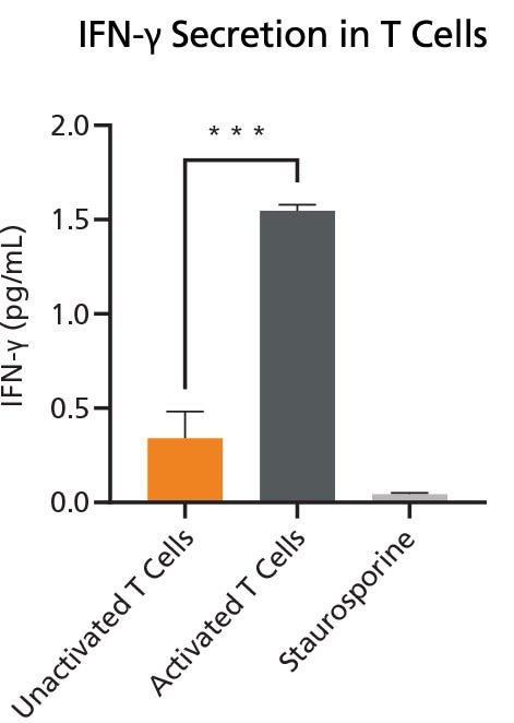 Graph demonstrating the quantification of IFN-gamma secretion in T cells