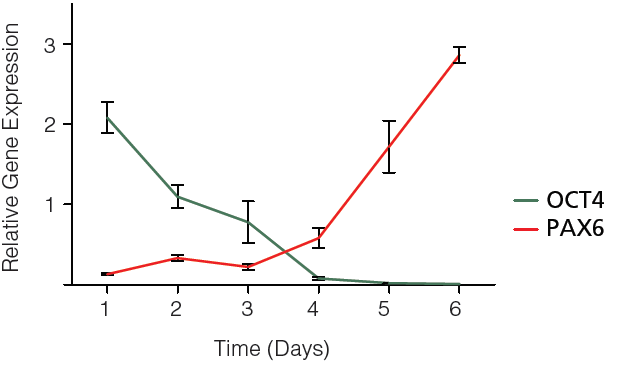 Downregulation of OCT4 and Upregulation PAX6 During Neural Induction of Human ES Cells Using a Monolayer Culture Protocol