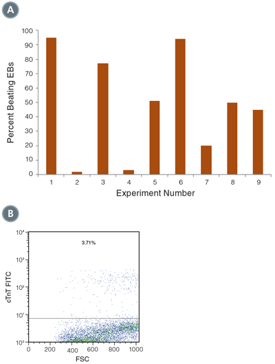 Differentiation of hPSCs into cardiomyocytes