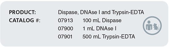 Product-Other-Dissociation-Enzymes