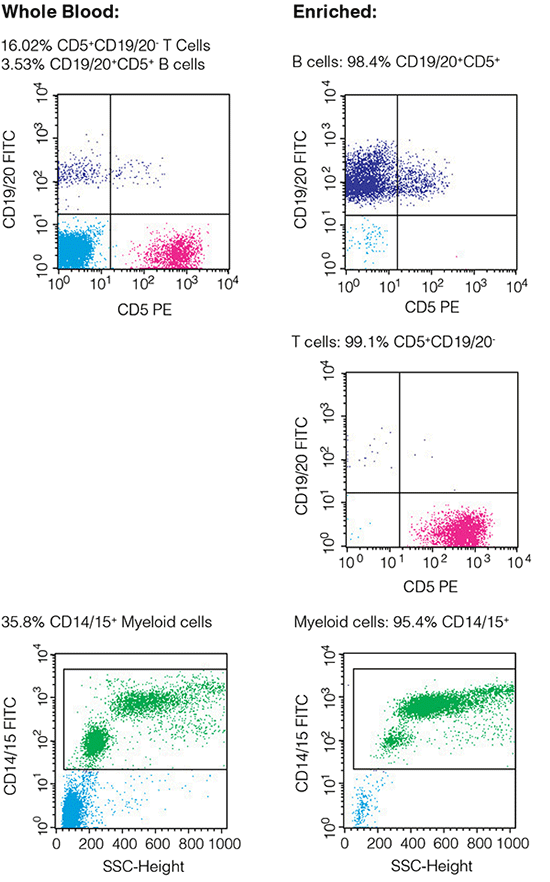 Typical FACS plots before and after enrichment of selected cells (plots show viable (PI-) cells gated on CD45+).