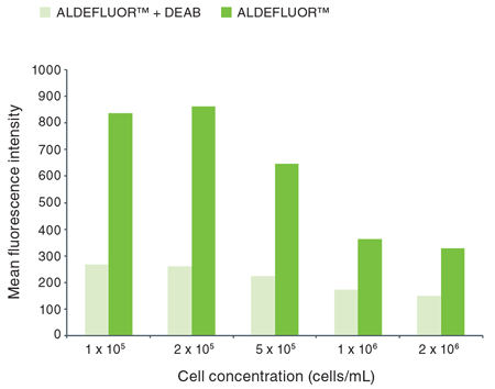 Effect of cell concentration on the detection of ALDEFLUOR™ activity in SKBR3 cells.