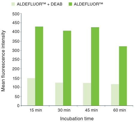 Effect of incubation time on the detection of ALDEFLUOR™ activity in SKBR3 cell line.