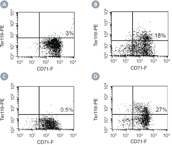 Expression of the erythroid differentiation antigens CD71 and TER-119 on cells from colonies harvested at different time points from cultures of mouse BM cells in MethoCult® SF M3436 Medium.