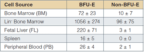 Table02