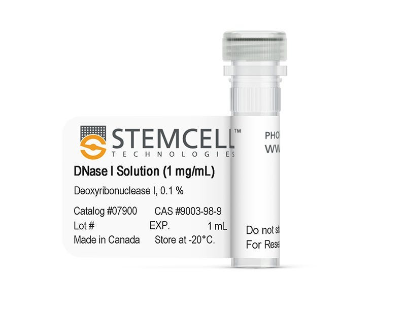 DNase I Solution (1 mg/mL)