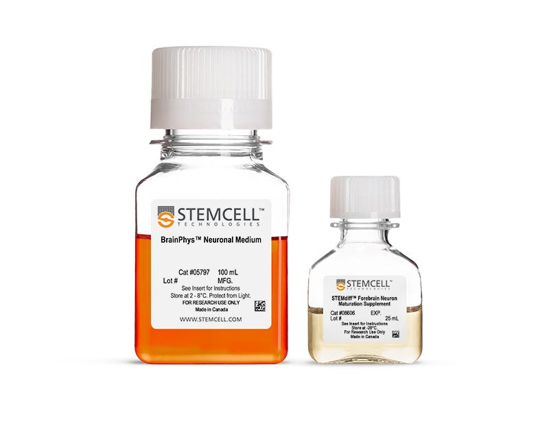 STEMdiff™ Forebrain Neuron Maturation Kit