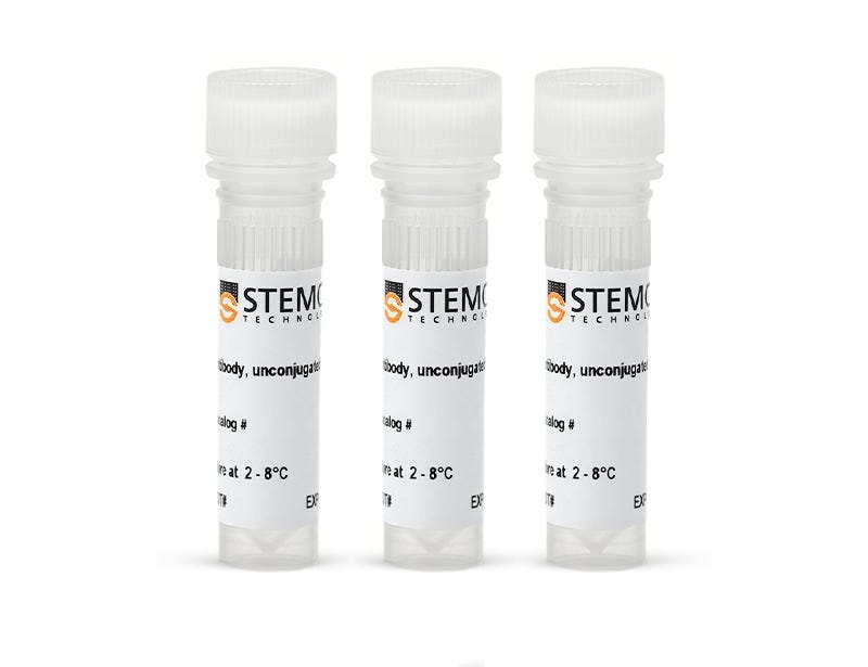 Extracellular Vesicle Human CD9/CD63/CD81 Antibody Panel