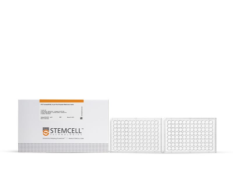 HTS Transwell®-96, 0.4 µm Pore Polyester Membrane Inserts