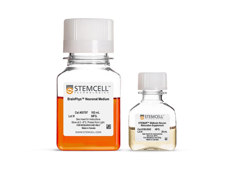 STEMdiff™ Midbrain Neuron Maturation Kit