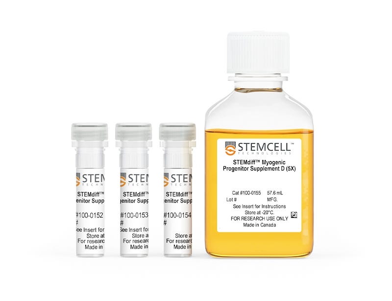 STEMdiff™ Myogenic Progenitor Supplement Kit