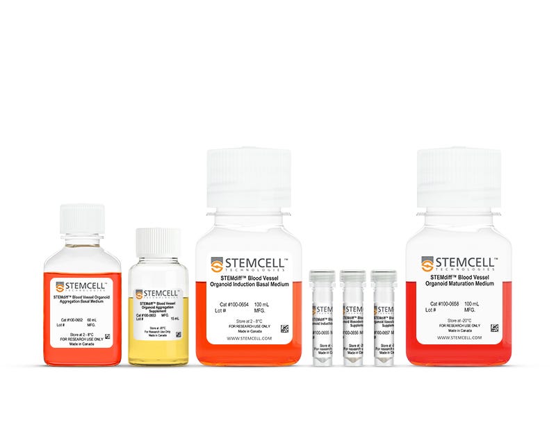 STEMdiff™ Blood Vessel Organoid Kit