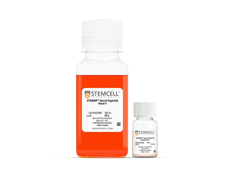 STEMdiff™ Choroid Plexus Organoid Maturation Kit