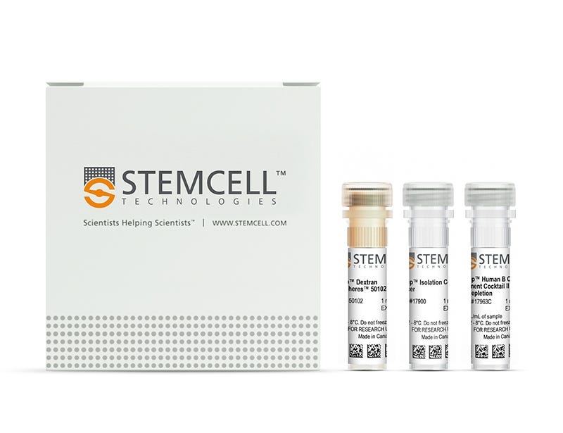 EasySep™ Human B Cell Enrichment Kit II Without CD43 Depletion