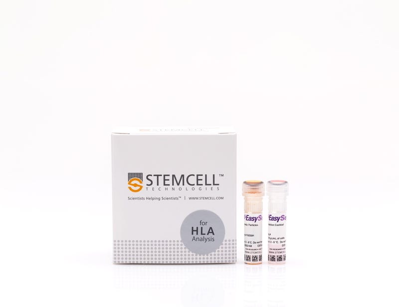 EasySep™ HLA T Cell Enrichment Kit