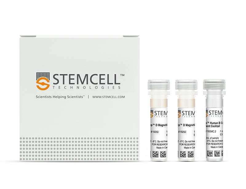 EasySep™ Human B Cell Enrichment Kit