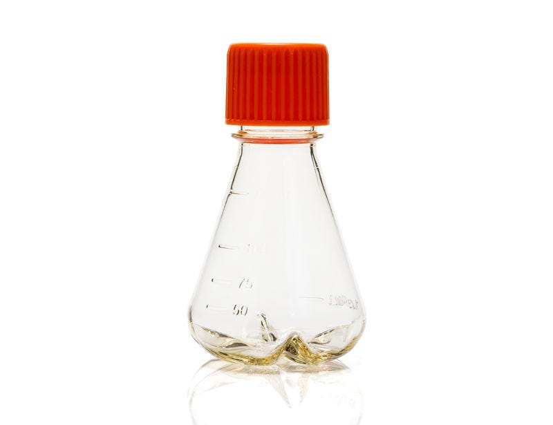 Erlenmeyer Flask, 125 mL