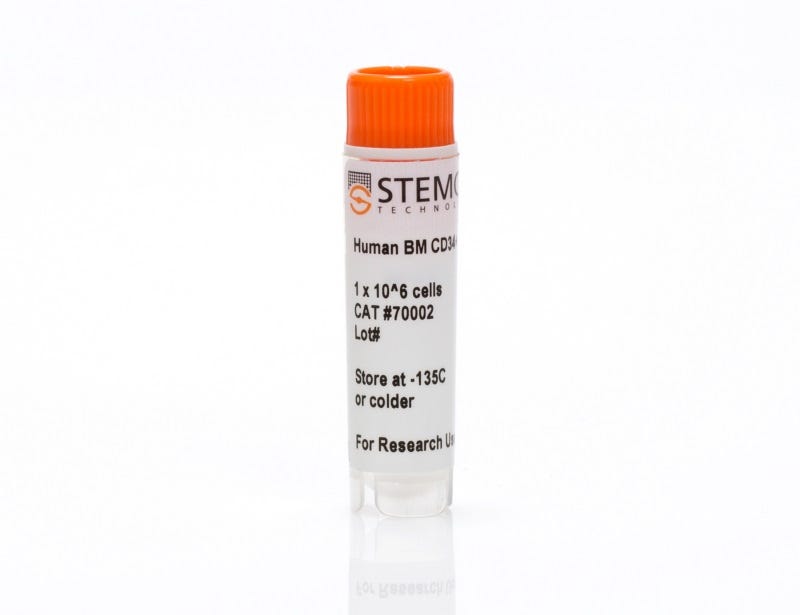 Human Bone Marrow CD34+ Cells, Frozen