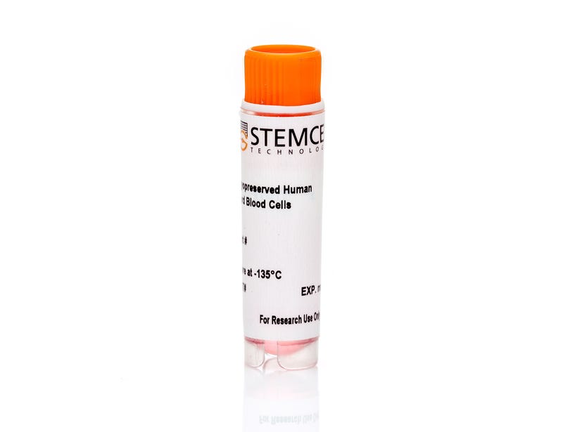 Human Cord Blood Mononuclear Cells, Frozen