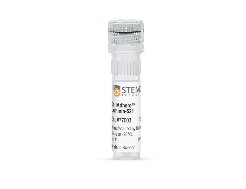 CellAdhere™ Laminin-521