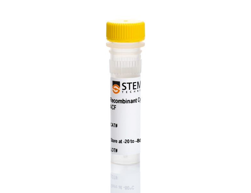 Human/Mouse Recombinant Activin A, ACF