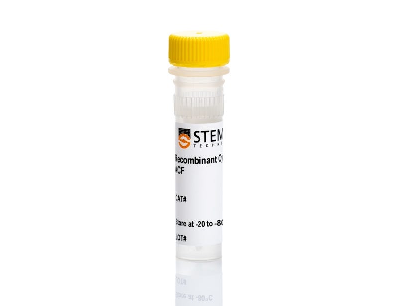 Human Recombinant Flt3/Flk-2 Ligand, ACF