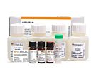 ALDEFLUOR™ Kit