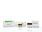ALDHbr Assay Kit
