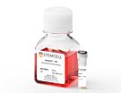 ClonaCell™-TCS/Hygromycin Kit