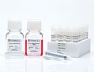 Starter Kit for MethoCult™ H4034 Optimum