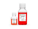STEMdiff™ Cardiomyocyte Dissociation Kit