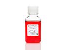 STEMdiff™ Cardiomyocyte Support Medium