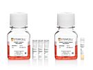 STEMdiff™ Intestinal Organoid Kit|05140