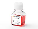 STEMdiff™ Neural Rosette Selection Reagent